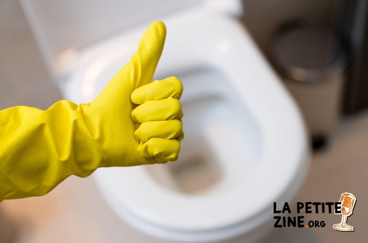 Comment déboucher les toilettes avec un déboucheur à pompe ?