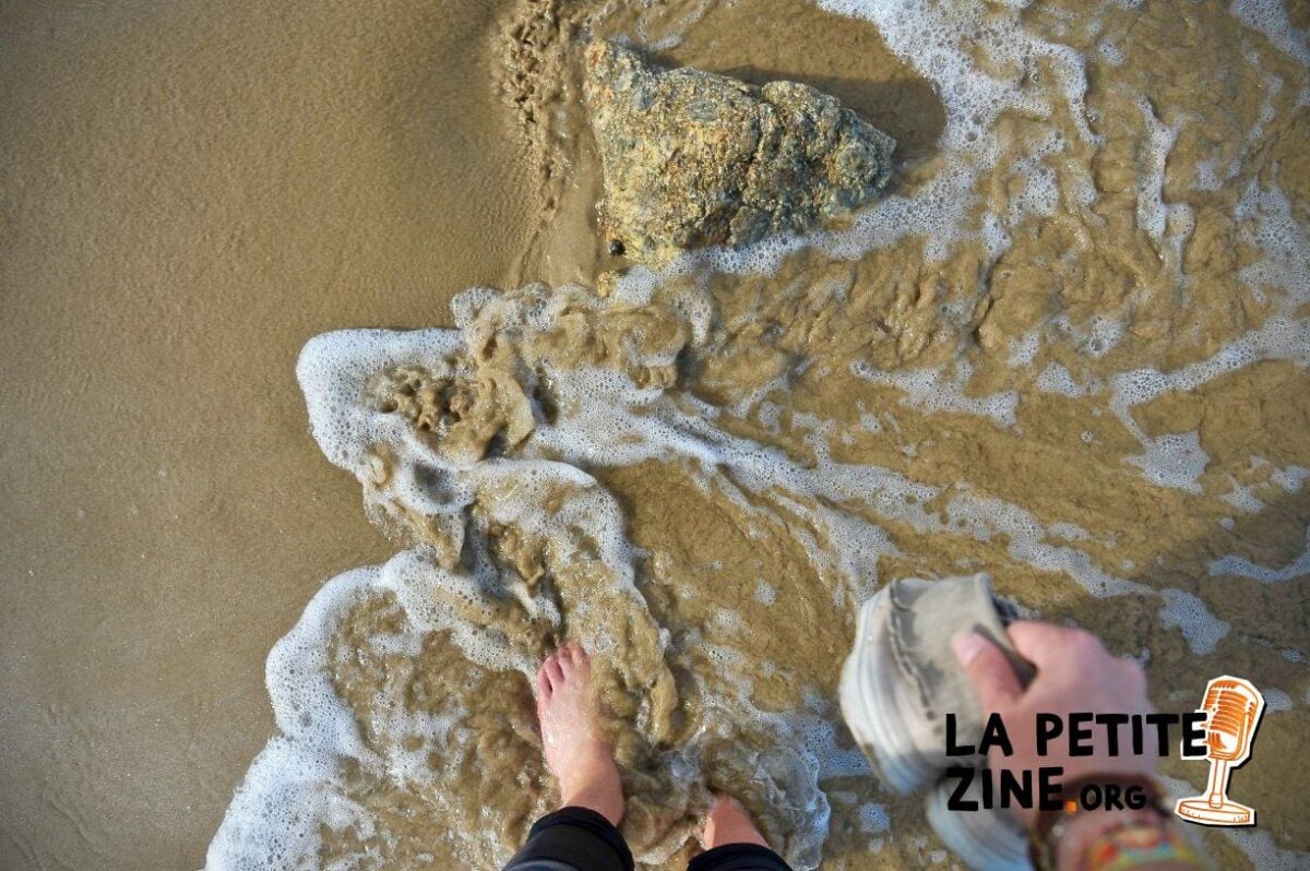 10 Astuces Pour Trouver de la Viande de Qualité à Petits Prix