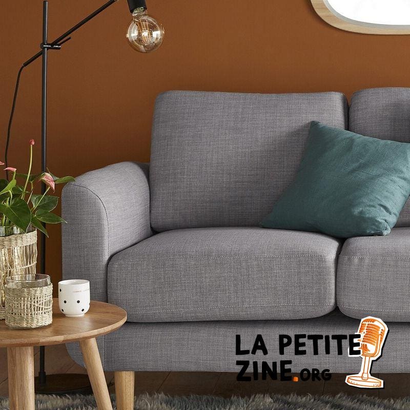 2 Canape Gris Scandinave 