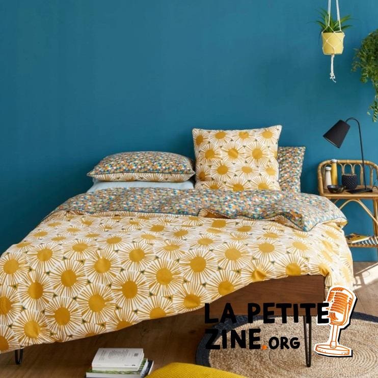 Chambre Bleue Et Jaune