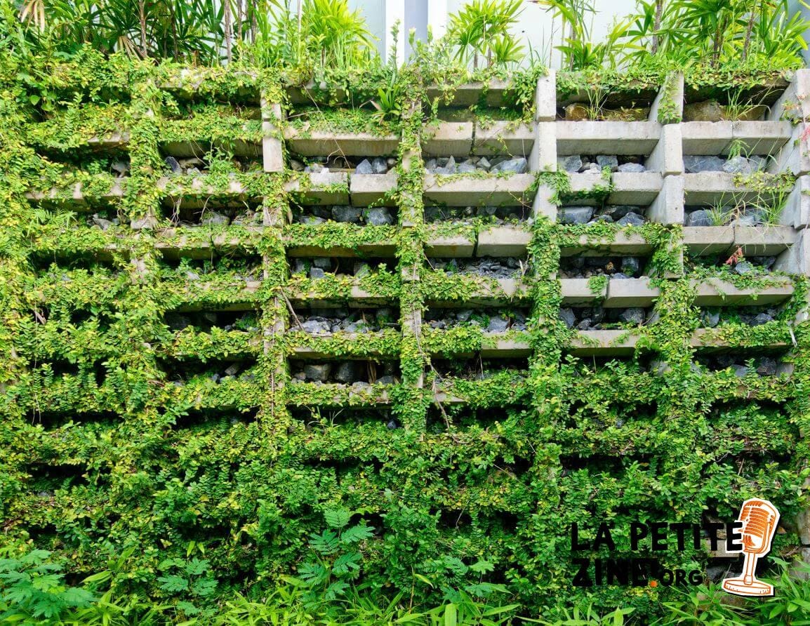 mur Couvert De Plantes 
