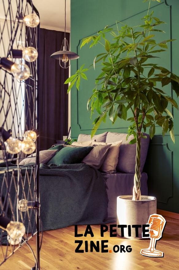 Chambre cocooning végétale