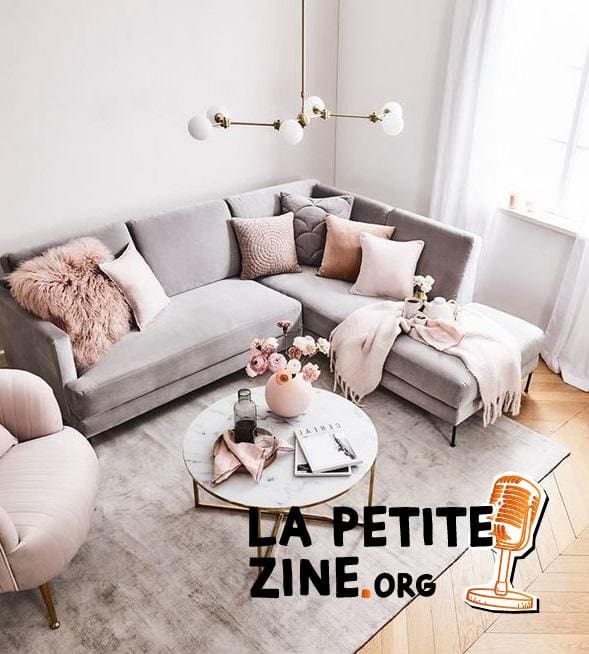 Du Gris Et Du Rose Poudré Dans Un Salon 