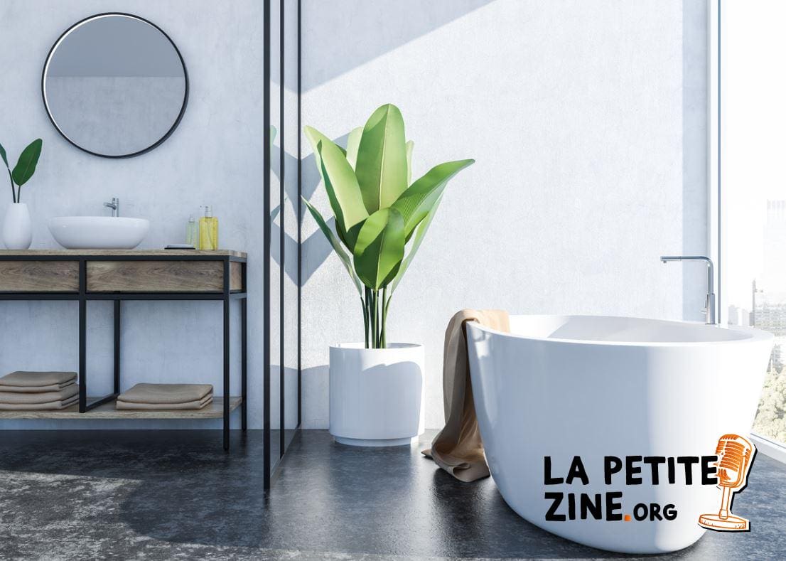 Modèle De Salle De Bain Avec Baignoire 