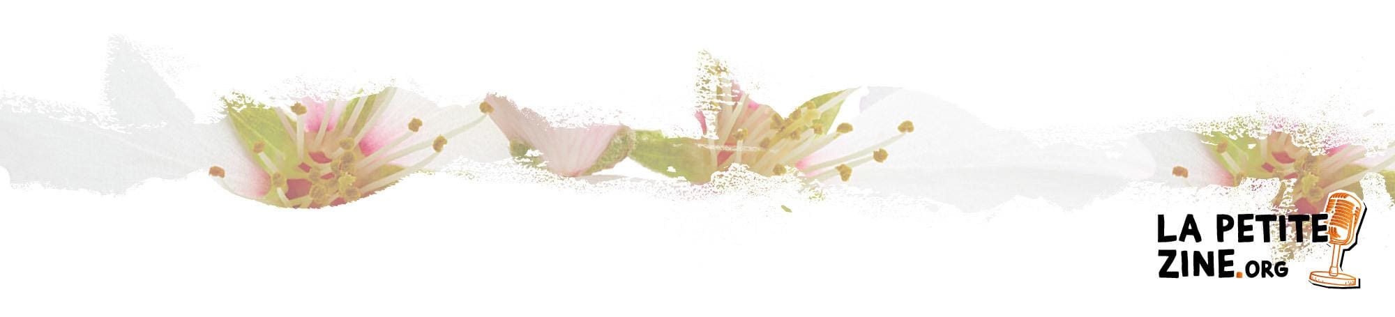 Le produit culte pour la beauté : l’huile Nuxe 2