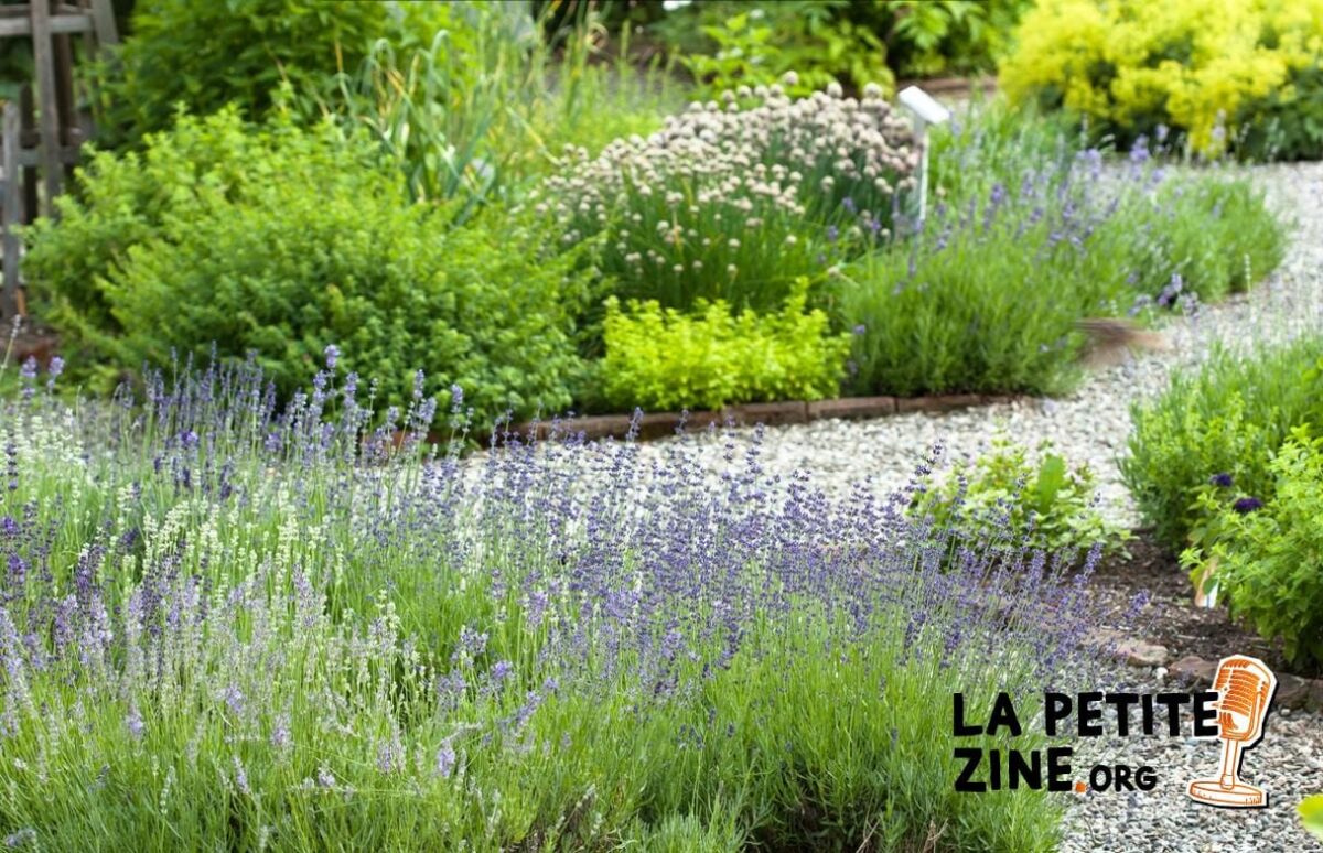 Comment aménager un jardin minéral ?