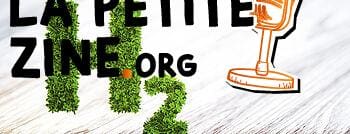 Fonction pile à combustible : Graphique H2