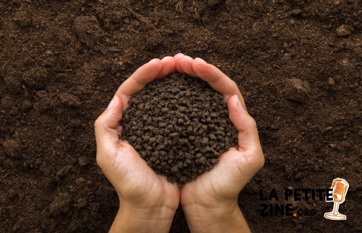 Comment enrichir une terre pauvre ?