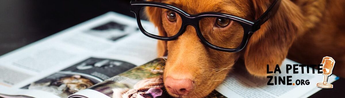 FRONTLINE : contre les tiques et puces pour votre animal !