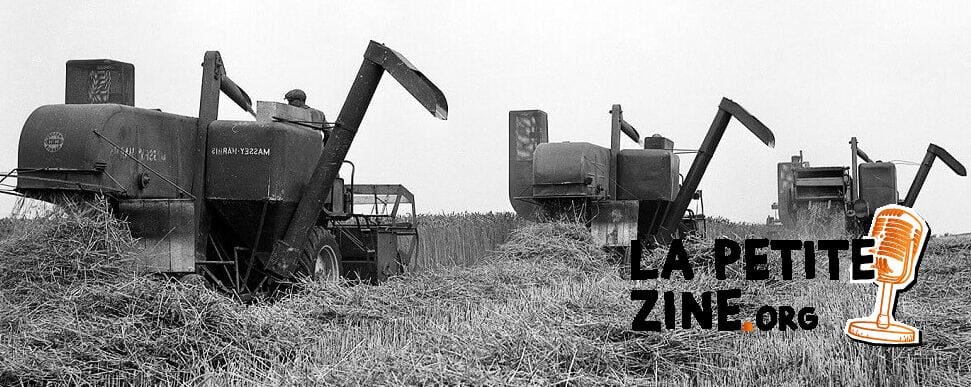 La révolution verte sous nos pieds : L’impact des récupérateurs d’eau enterrés sur la gestion durable des ressources