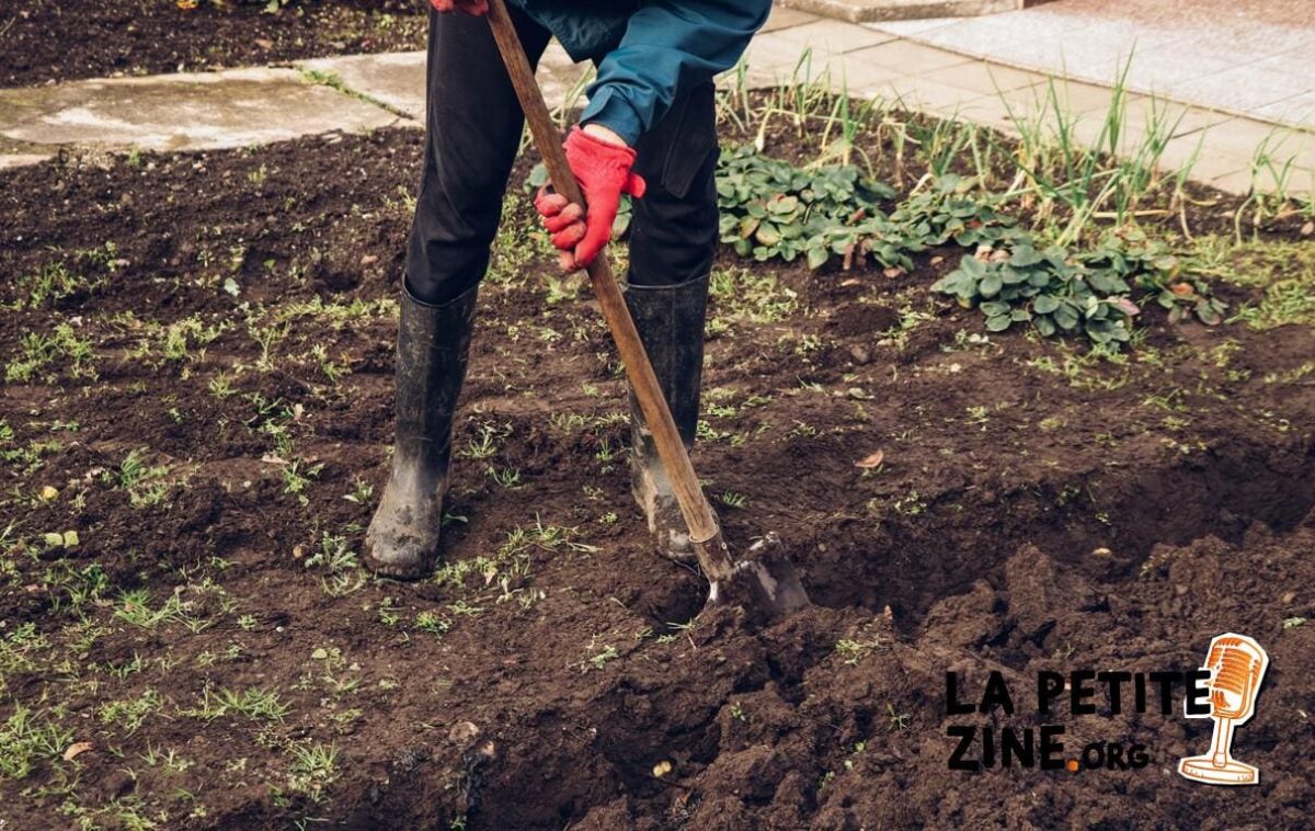 Quand et comment labourer la terre ?