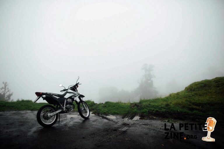 honda assurance
